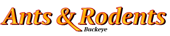 Buckeye Ant Exterminator & Rodent Control Company Logo